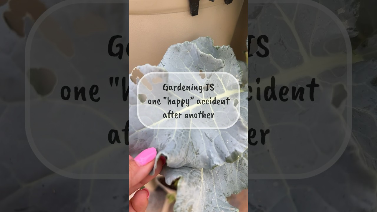 Have you had any &ldquo;happy accidents&rdquo; in your #garden? #zone8a #quotes #organicgardening