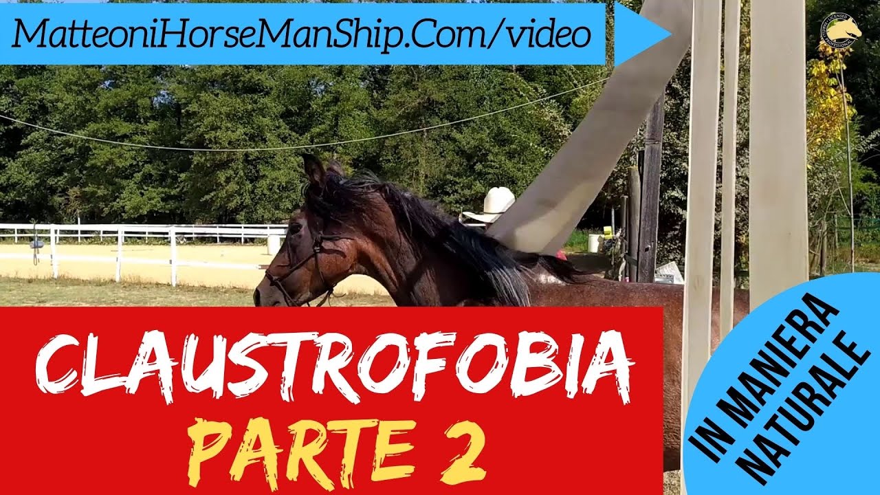 Come aiutare un cavallo Claustrofobico - parte 2