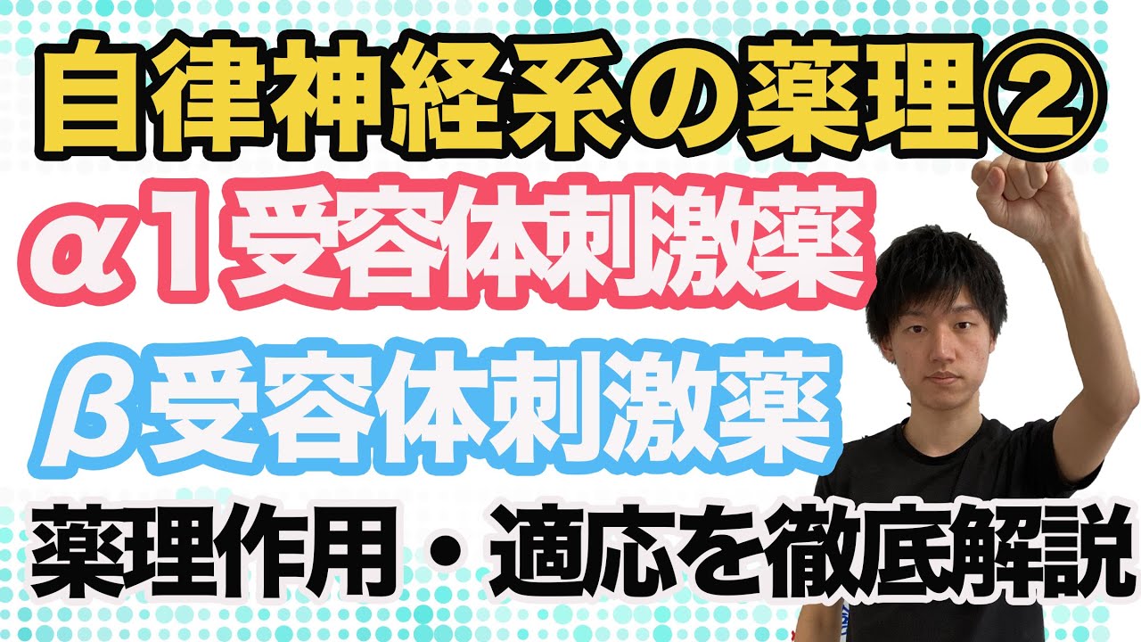 【自律神経系の薬理②】α１受容体刺激薬・β受容体刺激薬の薬理作用と適応を基礎から徹底解説！