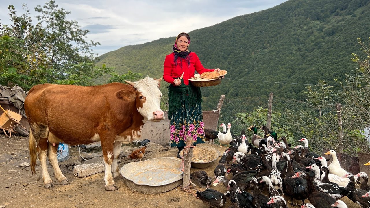 Rural Life! Feeding Animals and Cleaning the Stable, House and Garden