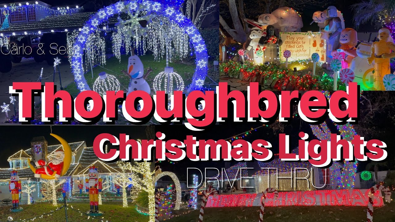 Thoroughbred Christmas Lights in 4K | Rancho Cucamonga, California | Carlo&Seb
