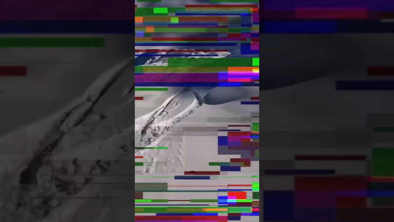 GIFs & COUBs #27  |  #coub #coubmix #memes