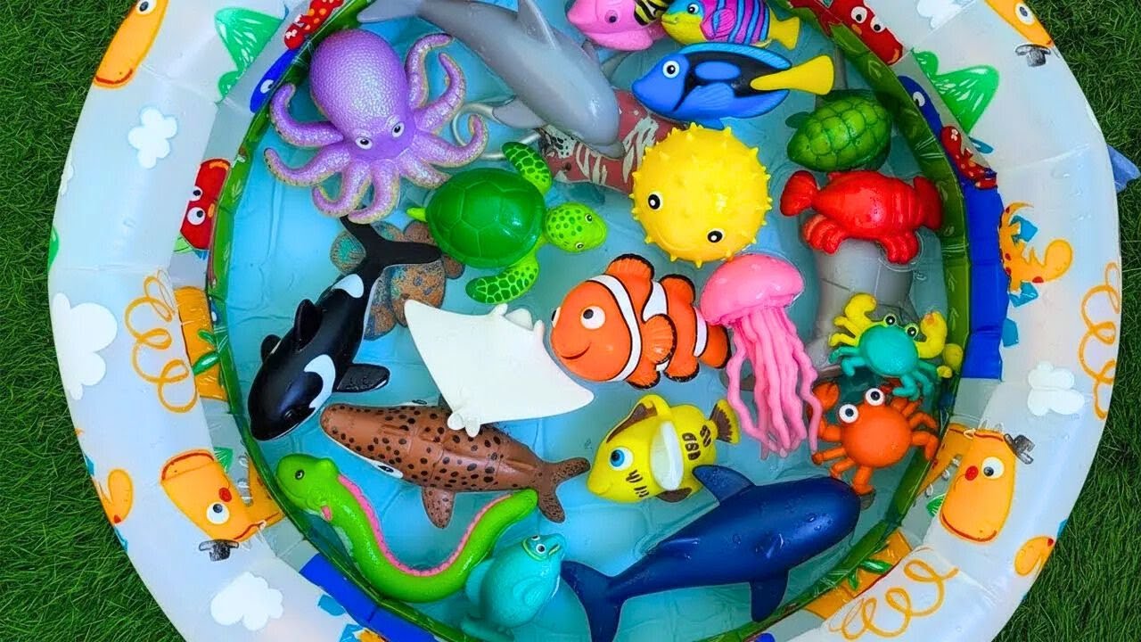 Ocean Animals for Kids: Learn Names and Fun Facts with Sea Creature Toys