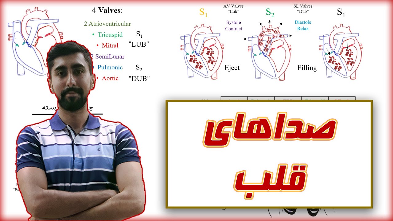 صداهای قلب / فیزیولوژی انسان / Heart Sounds