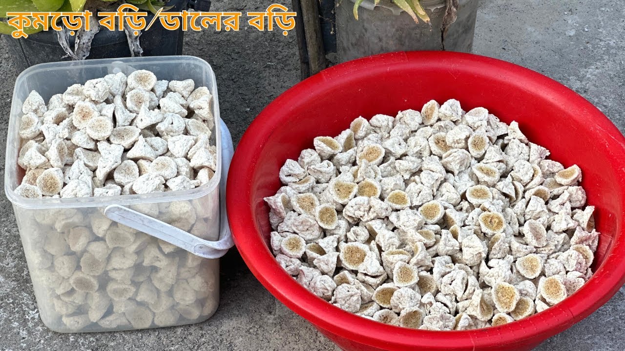 গ্রামে যেভাবে কুমড়ো বড়ি/ডালের বড়ি দেয়া হয় | নতুন বছরের কুমড়ো বড়ি |Kumra Bori Recipe Daler Bori aysha