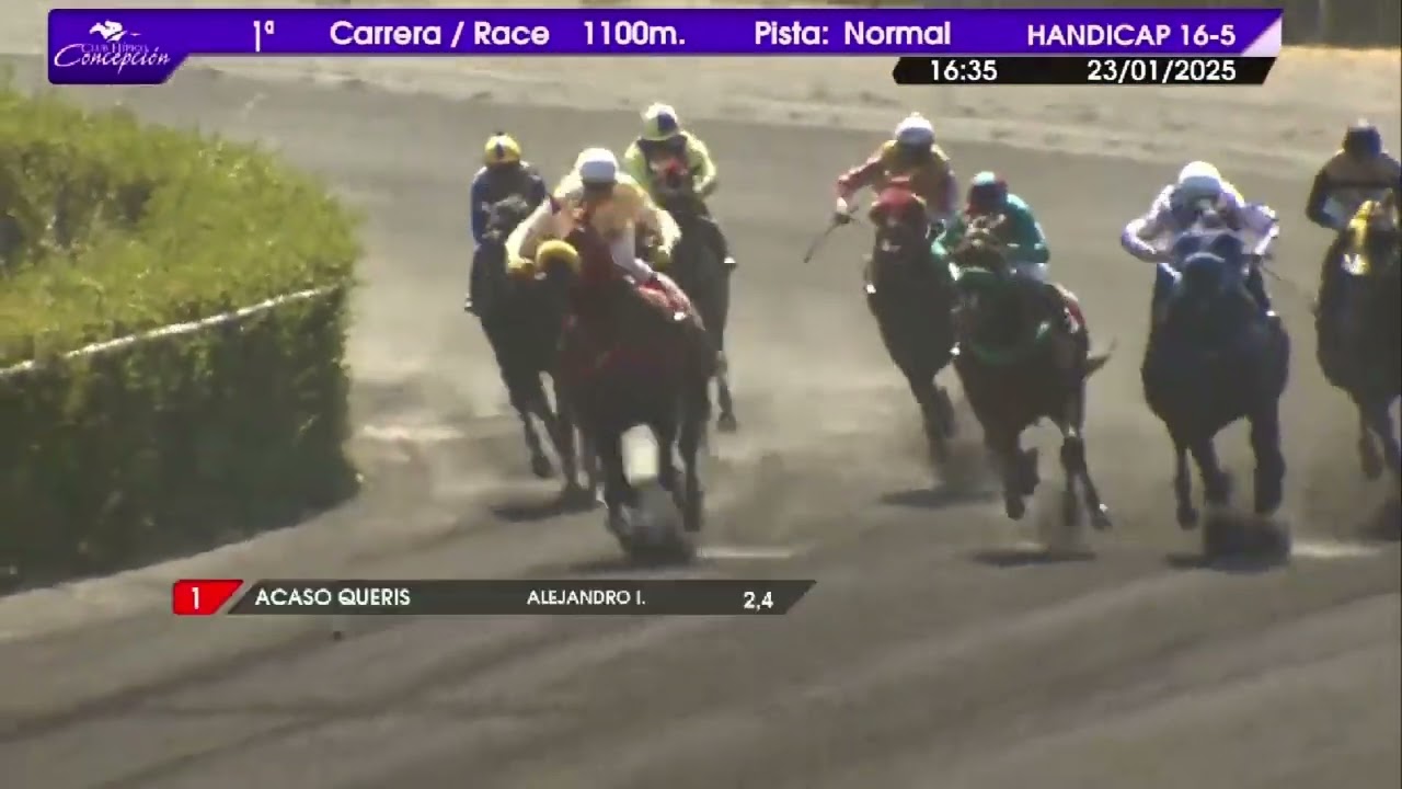 NED GOWAN ganador 1&ordf; carrera jueves 23 de enero 2025