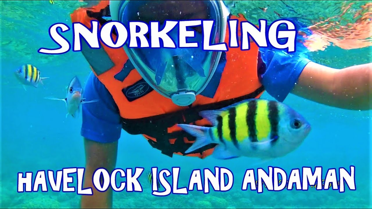 Snorkeling at Elephant Beach | Havelock Island | Andaman