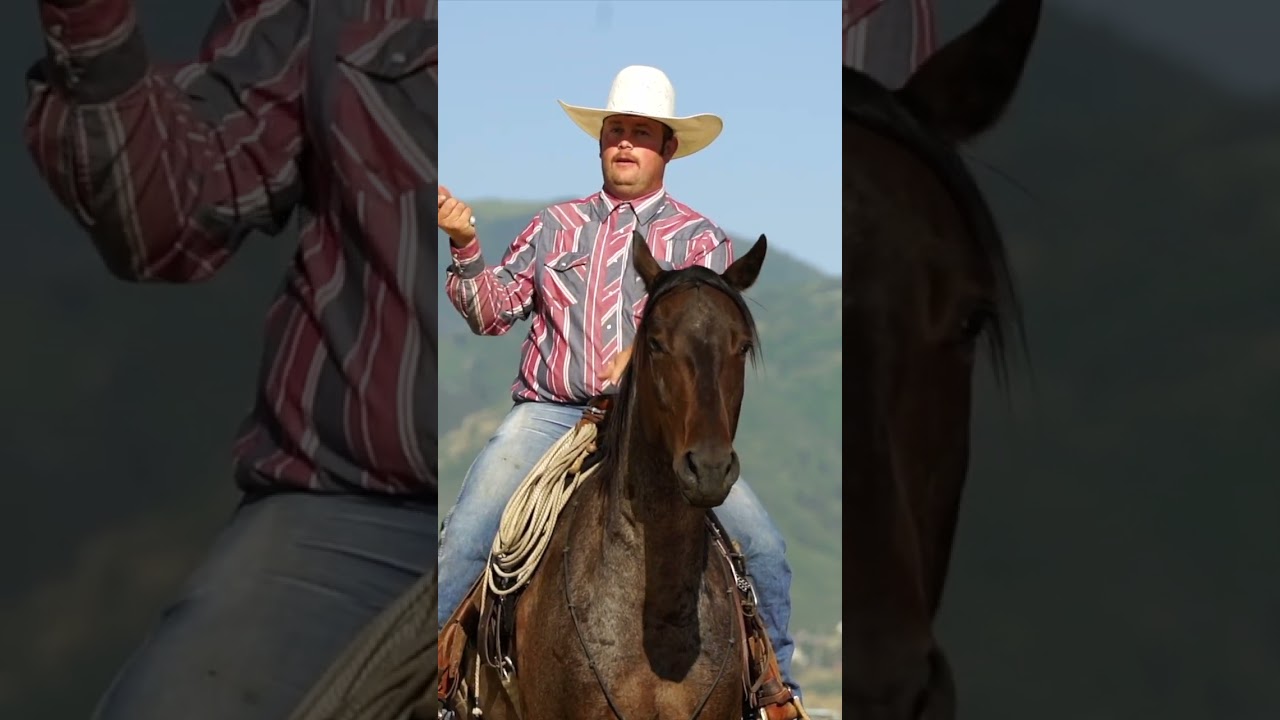CHIP ~ 2017 AQHA Gelding by BAR MILTON