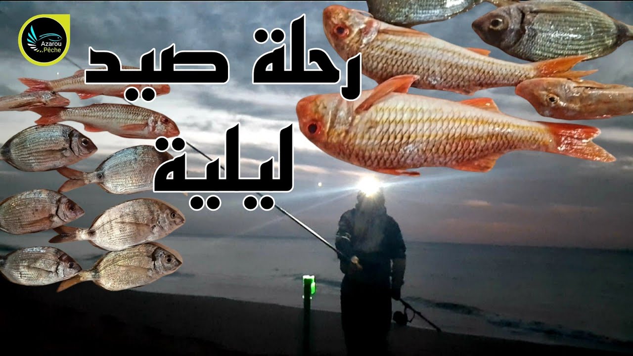 رحلة ليلية لشاطئ ابا قاسم أشقار