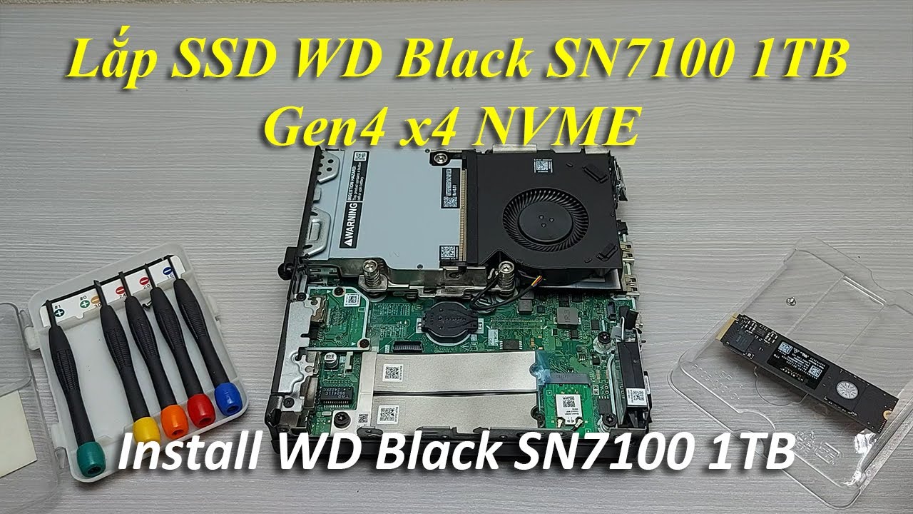 Lắp WD Black SN7100 1TB PCIe Gen4 x4 NVMe - Install WD Black SN7100 1TB PCIe Gen4 x4 NVMe