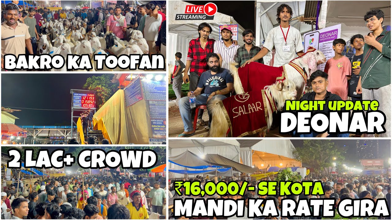 DEONAR BAKRA MANDI MEIN BAKRE HUYE SASTE  LATEST UPDATE DAY 6 NIGHT TOUR || GOATS HUB ||