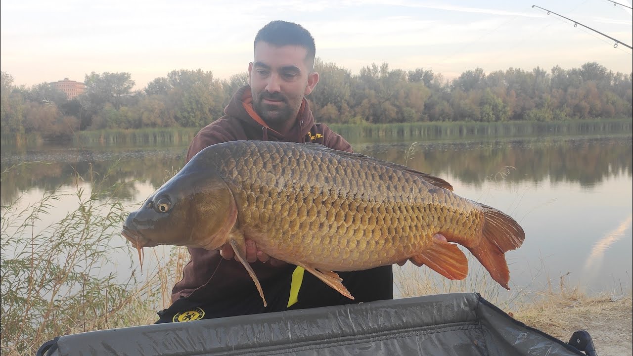 Pescódromo Córdoba. Río Guadalquivir. Recuperemos el Pescódromo. Evento Inter Social de carpfishing🎣