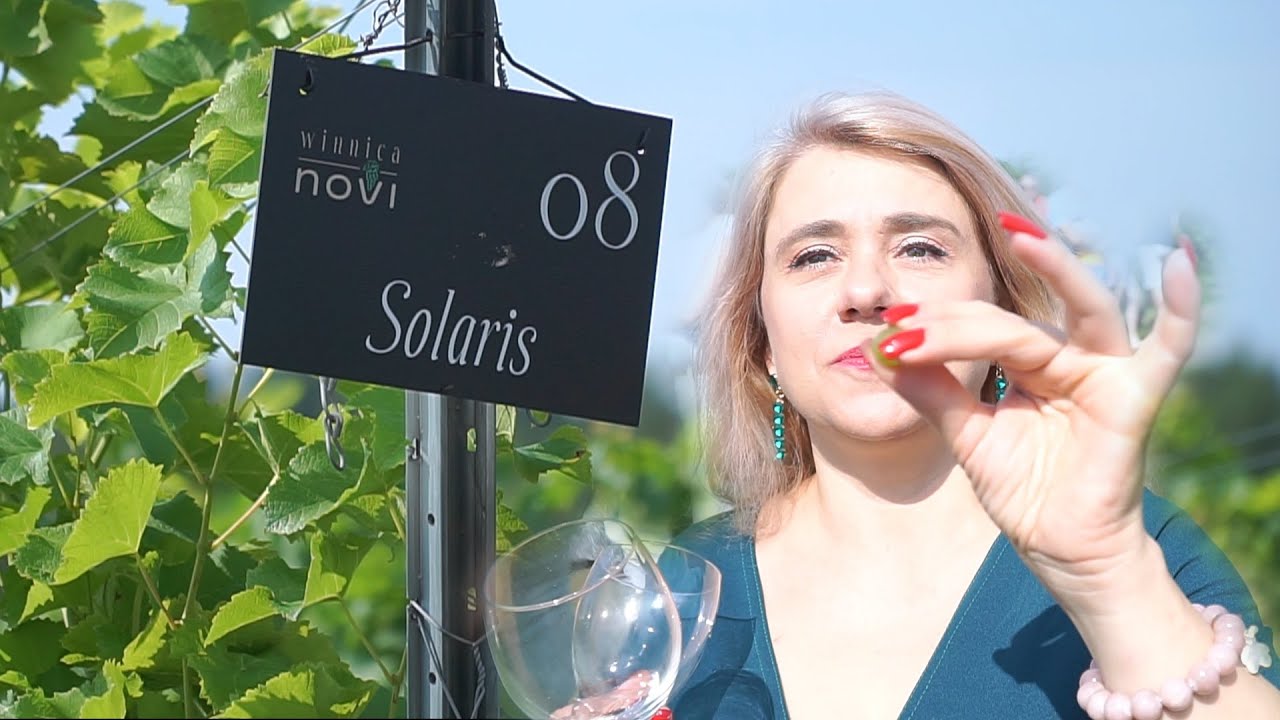 winnica NOVI - NA BOGATO!  Małopolski Szlak Winny 2022