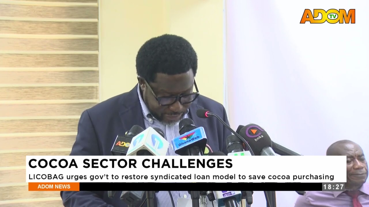 Cocoa Sector Challenges: Cocoa Purchasing at Risk as LICOBAG Pushes for Syndicated Loan Model