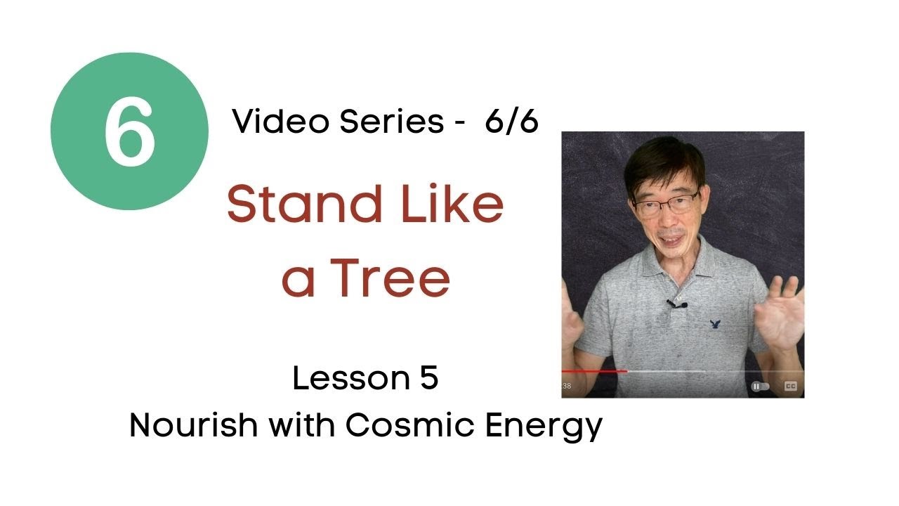 Standing Meditation - How to Enrich your Qi with Cosmic energy (6/6)