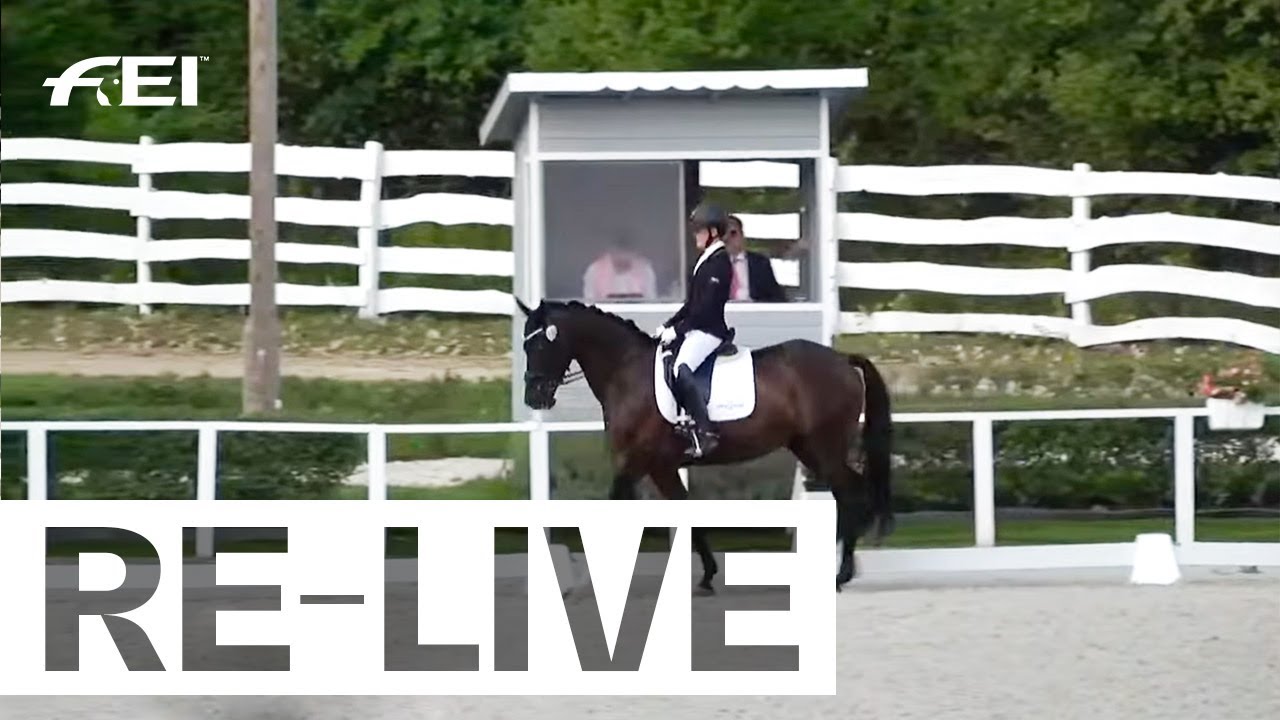 RE-LIVE | Individual Final - FEI Dressage European Championship Children | Pilisj&aacute;szfalu (HUN)