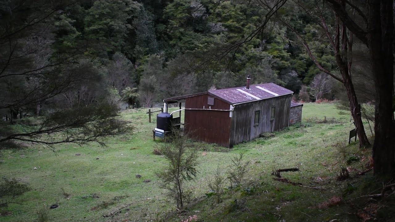 Ohora Hut Overnight Tramp, Te Urewera
