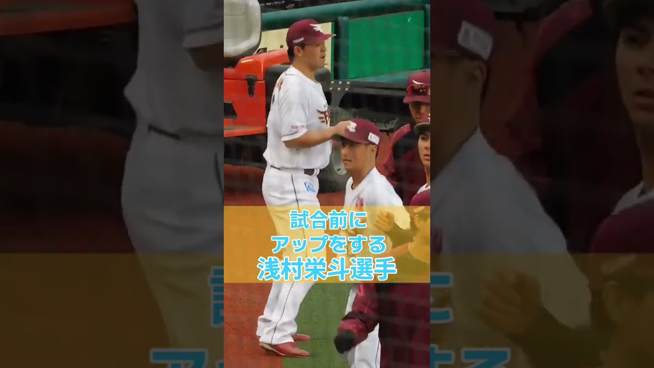 【アフリカンシンフォニー】試合前にアップをする浅村栄斗選手 #東北楽天ゴールデンイーグルス #浅村栄斗 #プロ野球 #アフリカンシンフォニー #高校野球 #asmr #shorts #かいちゃんねる