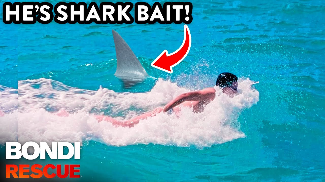 SHARK! 5 Times Swimmers Had A Brush With De*th