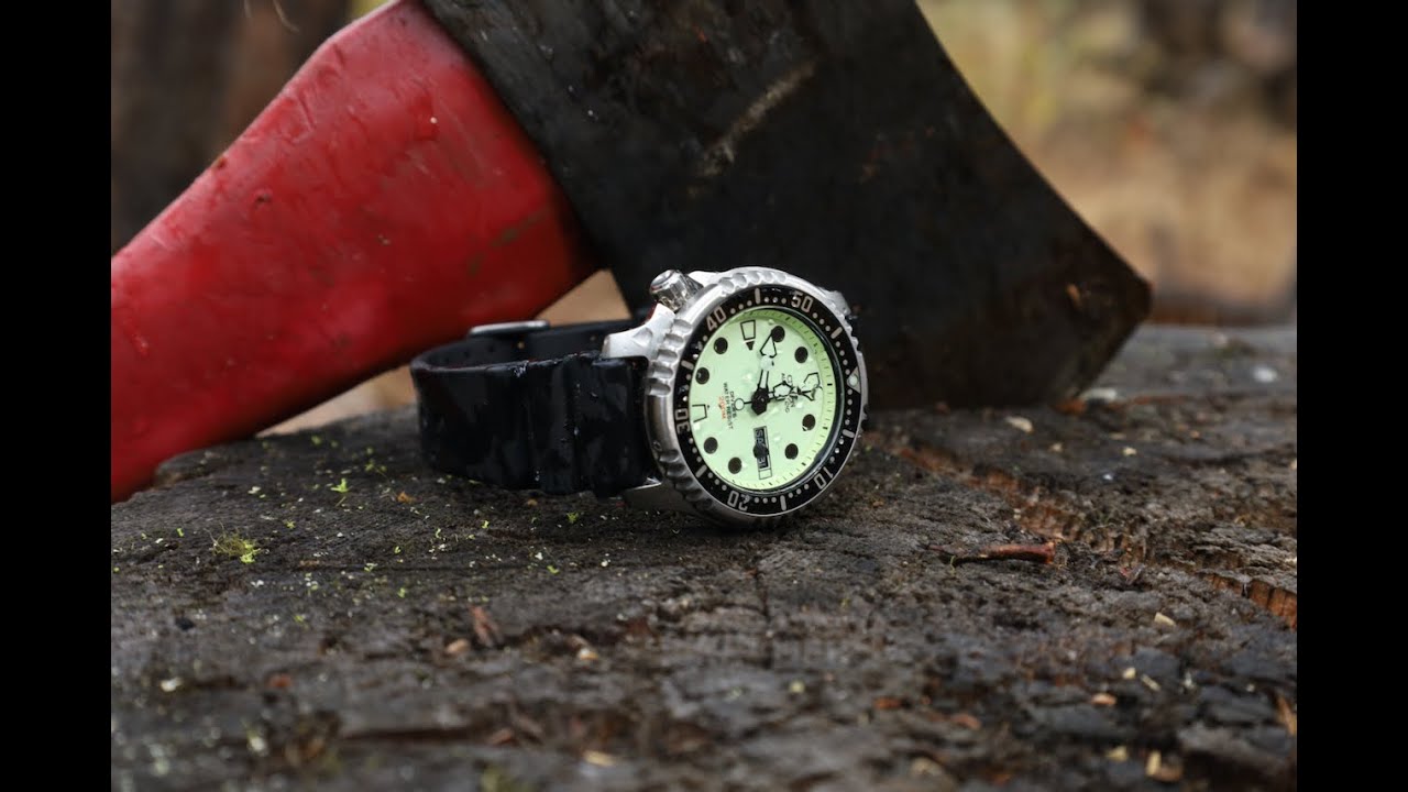 The Last Best Affordable ISO Diver: Citizen ProMaster (NY0040-09W)