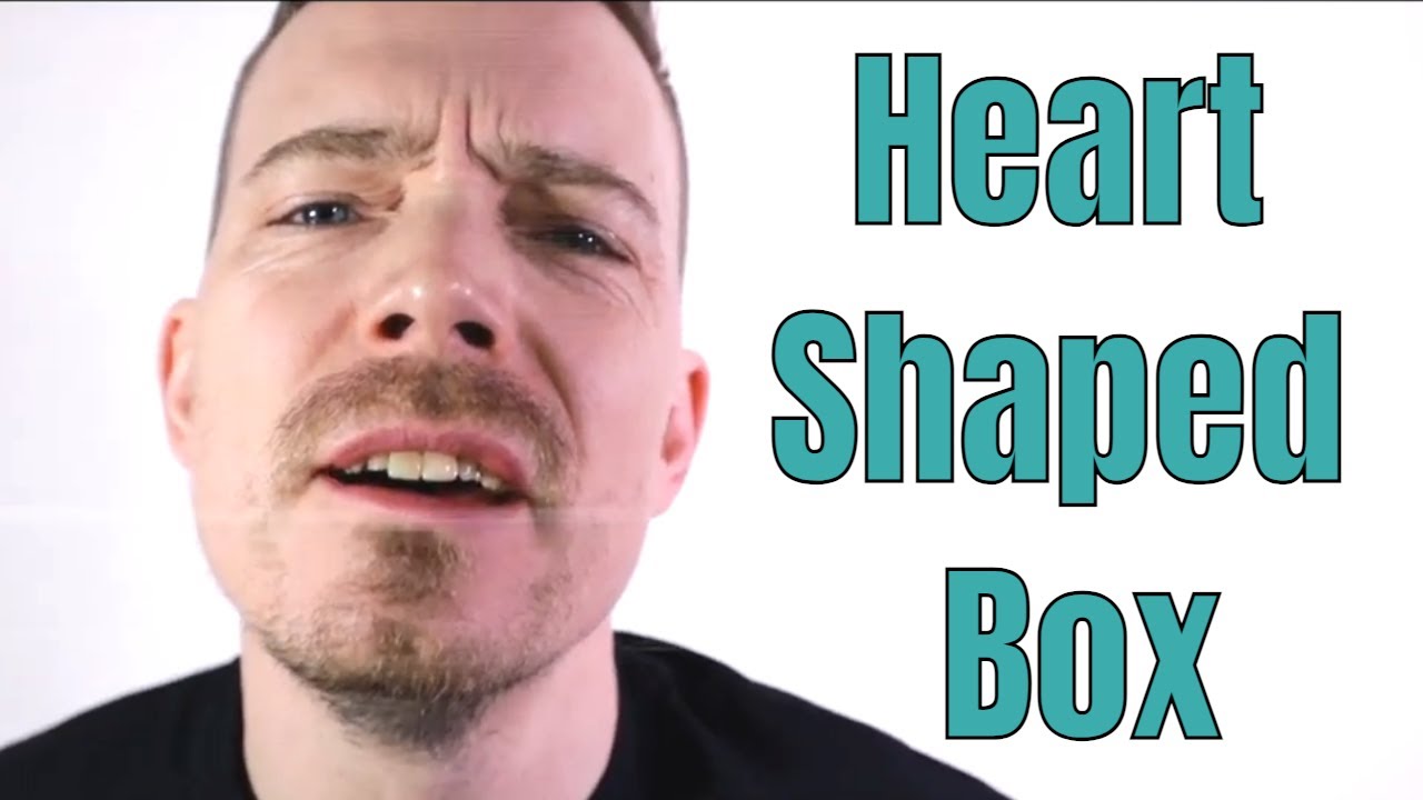 Nirvana - Heart Shaped Box (cover by Tom Roger Thu)