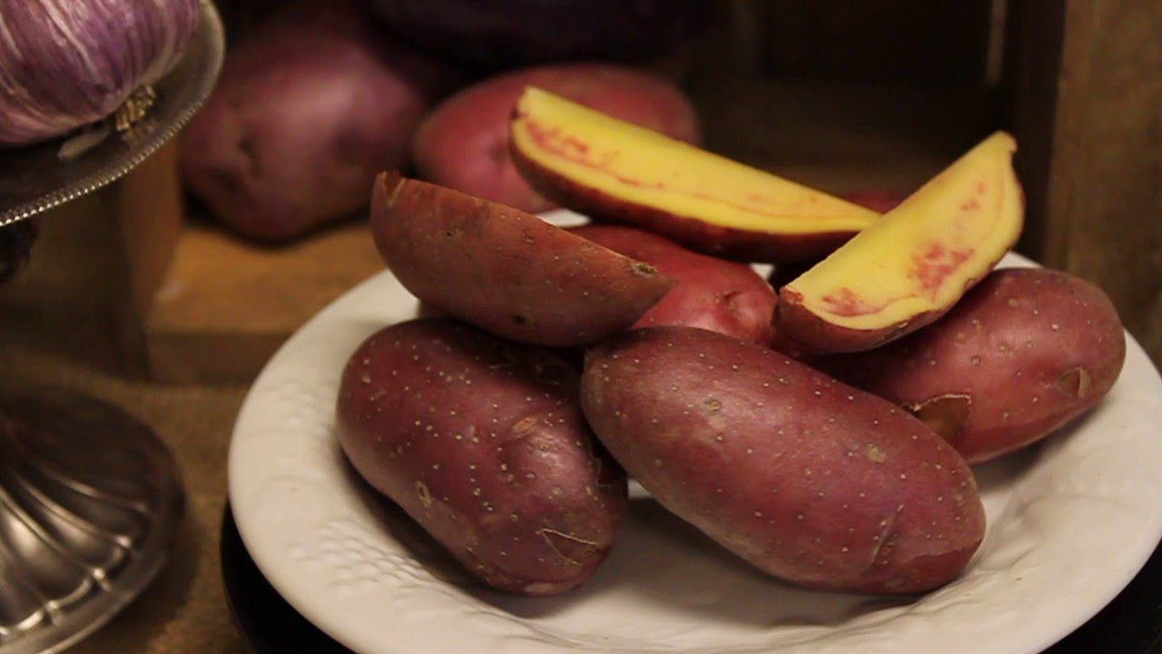 French Fingerling