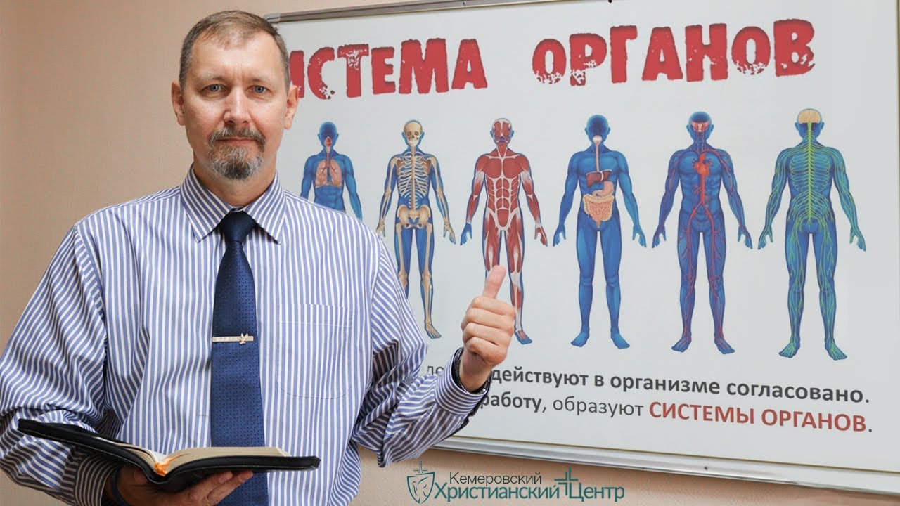 🎙 ПРОПОВЕДЬ - Столяров Юрий - «Церковь как тело Христово: системы и органы» • 26.07.2020 - КХЦ 🌍