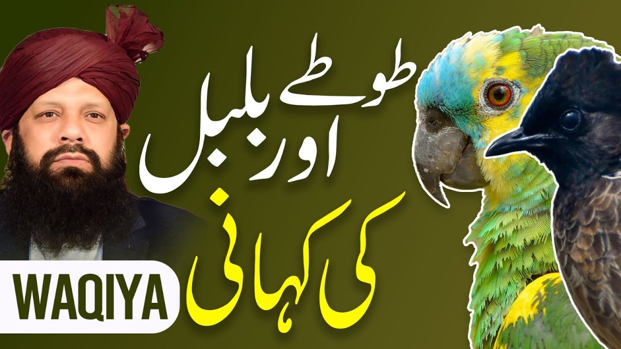 Maulana Jalaluddin Rumi | Hazrat Suleman ka Waqia | Tota aur Bulbul | Syed Shah Abdul Haq Qadri