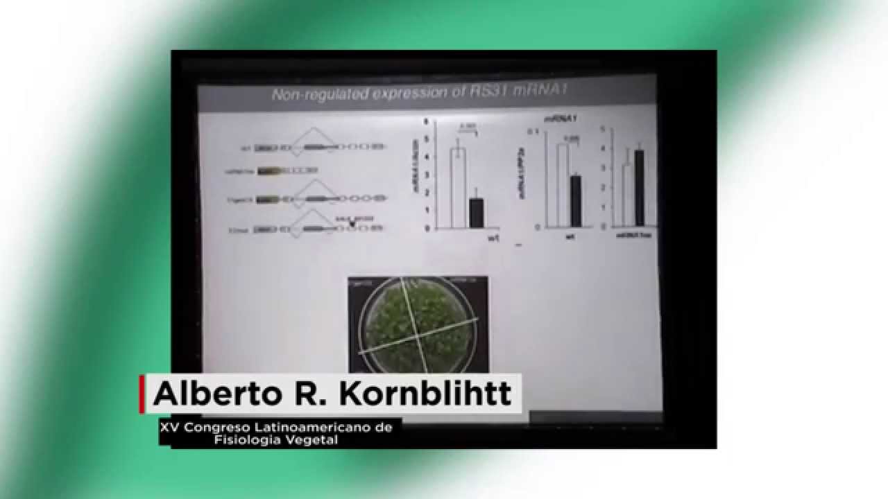 Alberto R Kornblihtt - A Chloroplast Retrograde Signal Regulates Nuclear Alternative Splicing