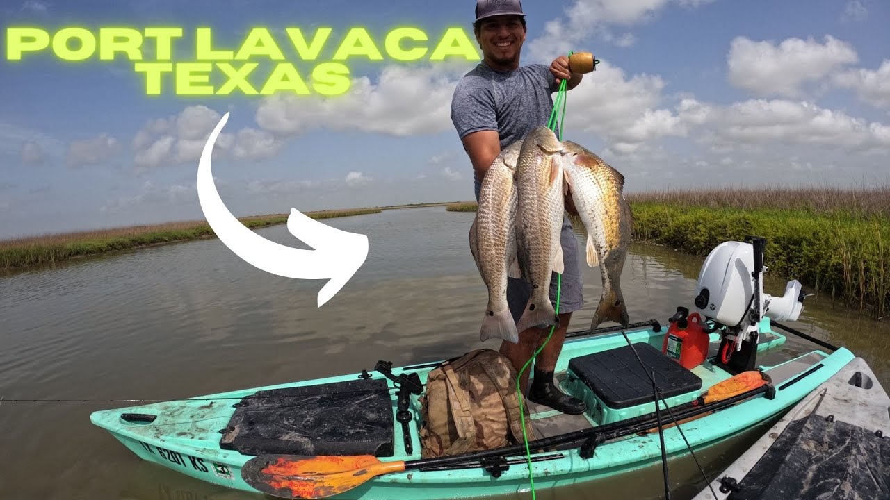 This untouched marsh is LOADED (Port Lavaca Tx)