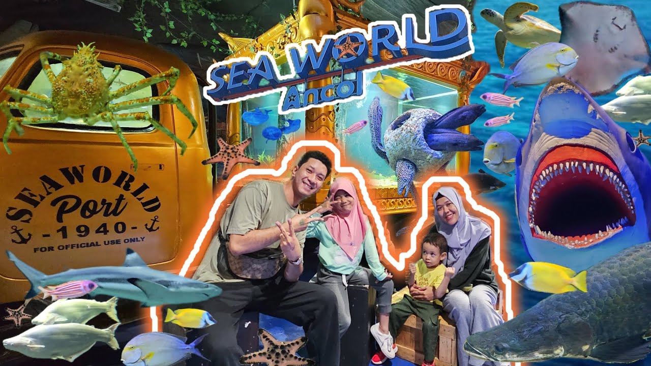 Tolong Kami Dimakan Hiu!!! (SEA WORLD ANCOL) #ancol #ancoljakarta #seaworld #pari #penyu #viral #fyp