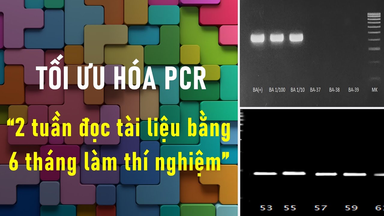 Trọn bộ tối ưu hóa PCR | PCR mix chuẩn 90% thành công trong lần chạy đầu | PCR ABC