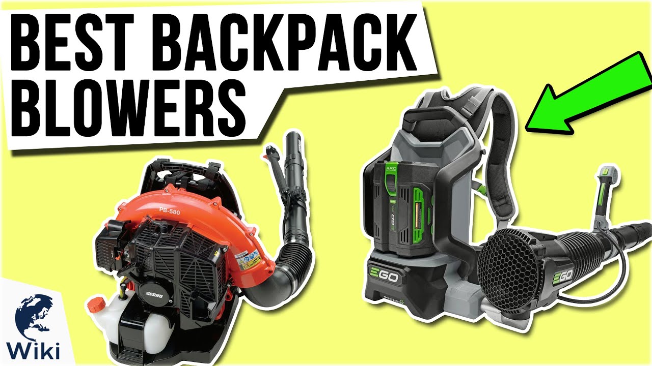 10 Best Backpack Blowers 2020
