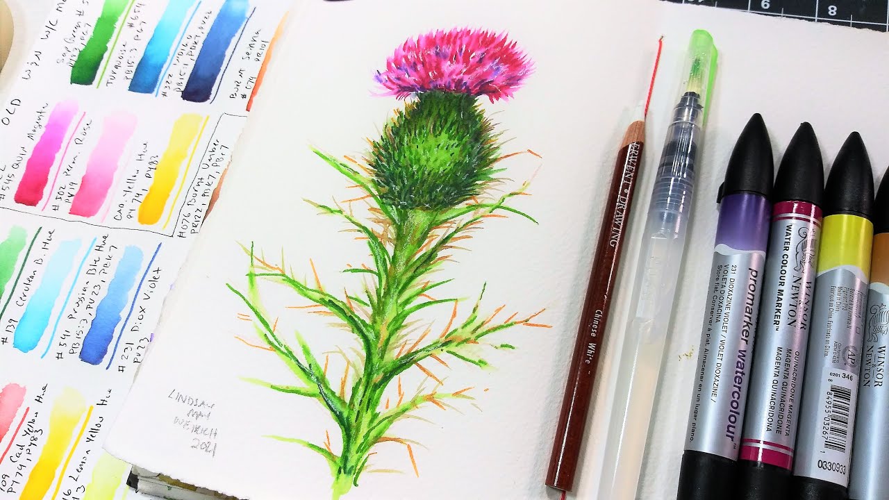 Beautiful Thistle in Watercolor Markers // Draw & Paint Tutorial