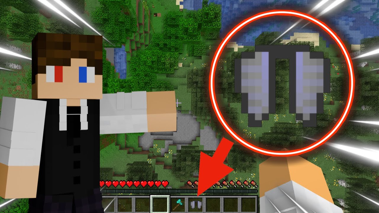 Im letzten MOMENT eine ELYTRA!!!