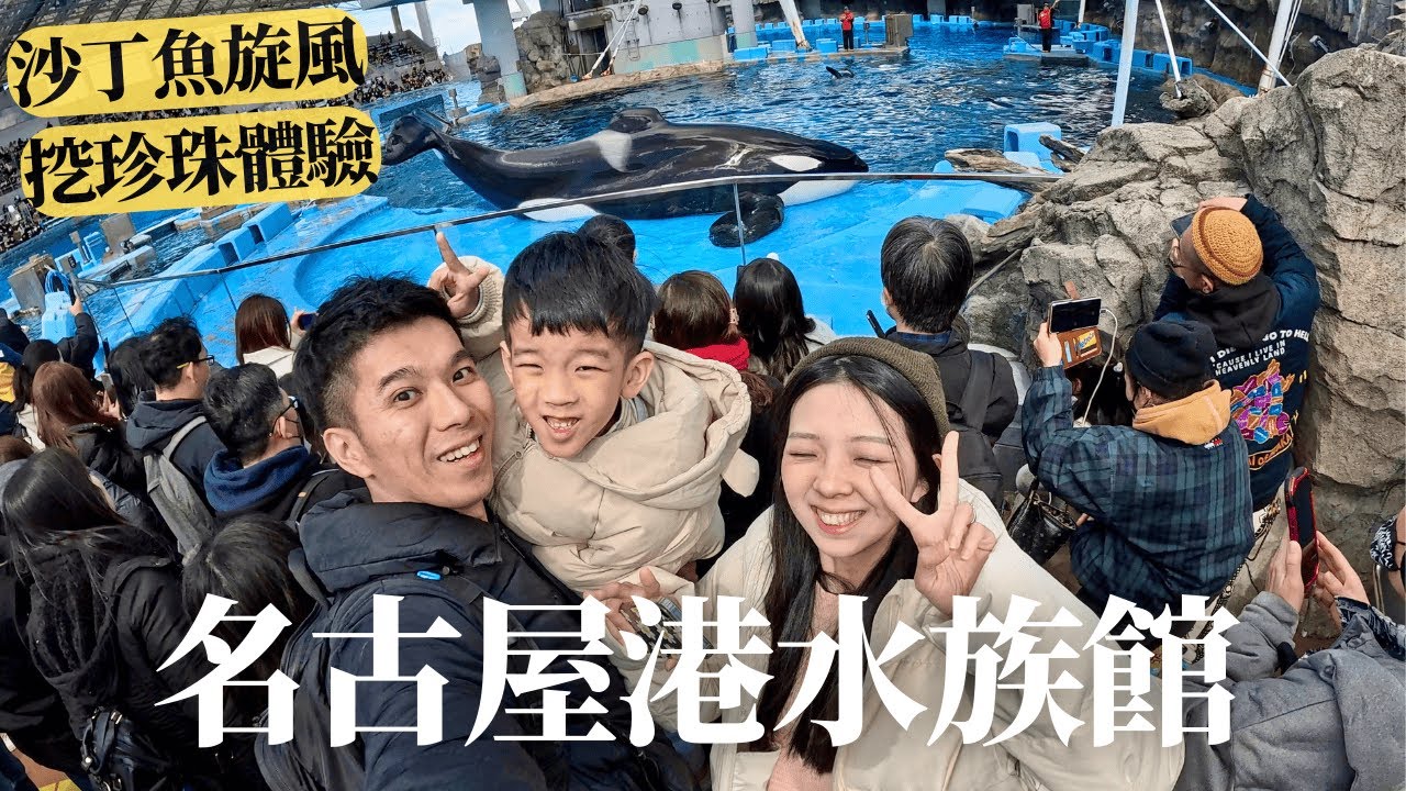 【日本名古屋EP4】名古屋港水族館一日遊！虎鯨海豚超可愛🐬壯觀沙丁魚龍捲風