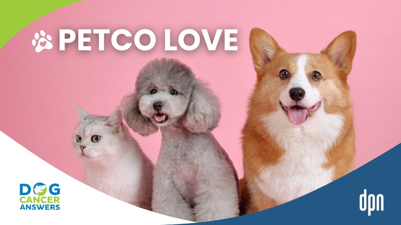 Lost Pets, Free Vaccines, and Cancer Research: Petco Love's Initiatives | Susanne Kogut