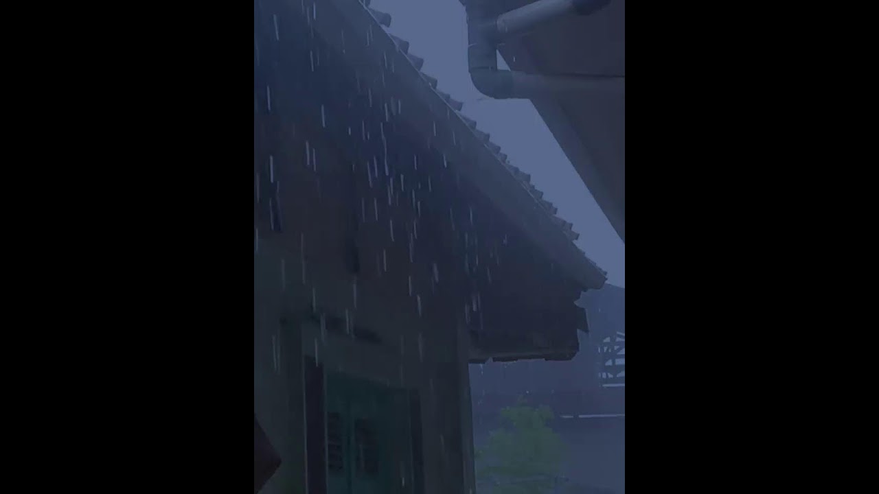 Insomnia Relief 🌙 Gentle Rain Sounds for Sleeping