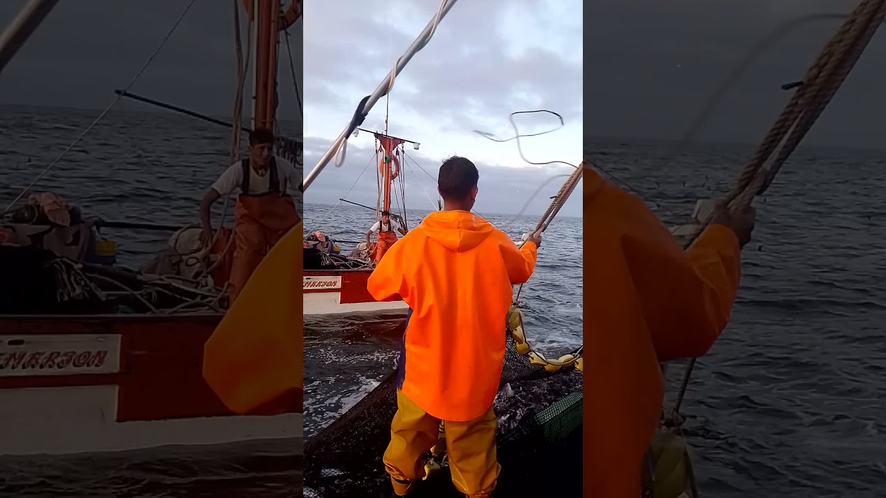 pesca del jurel pisco Perú