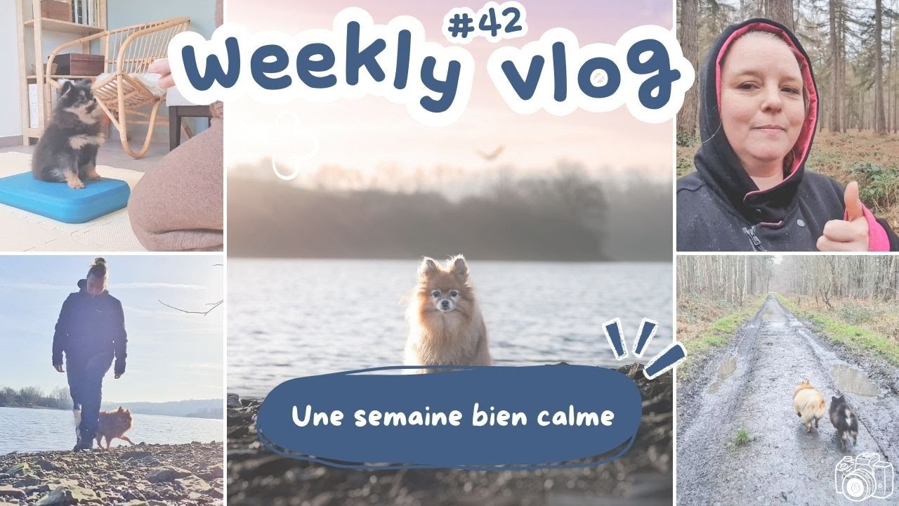 Weekly vlog #42 : entrainements avec Oichi et balade sous la pluie