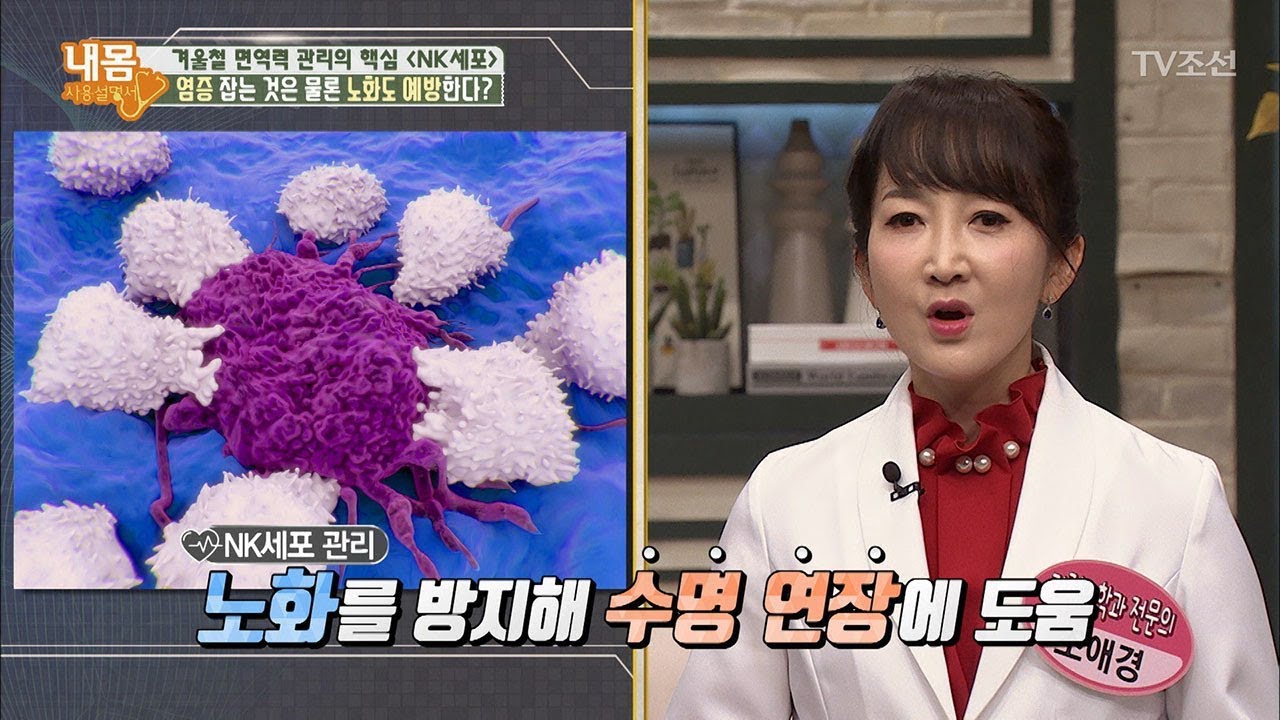 NK세포, 염증은 물론 노화도 예방한다! [내 몸 사용설명서] 180회 20171124