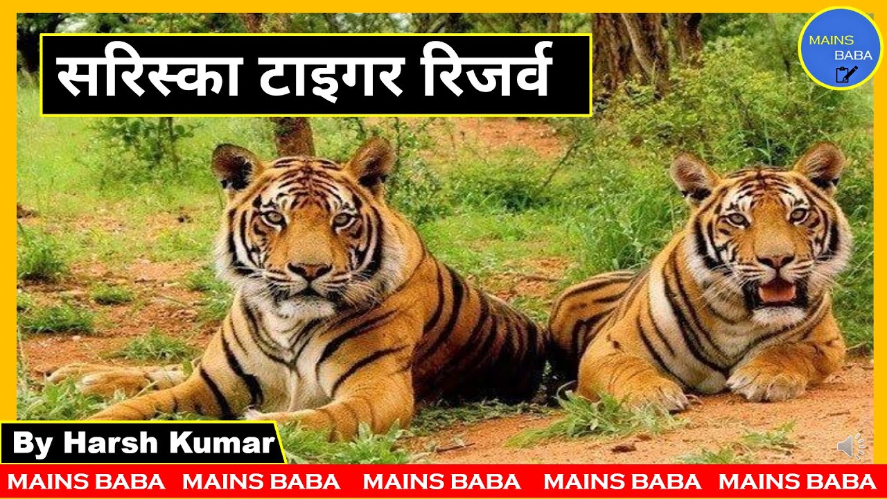 Sariska Tiger Reserve in News | Mains Baba | Harsh Kumar
