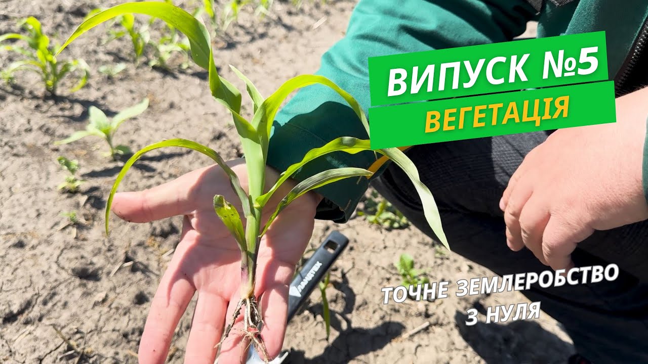 Точне землеробство з нуля. Випуск №5 | Вегетація |