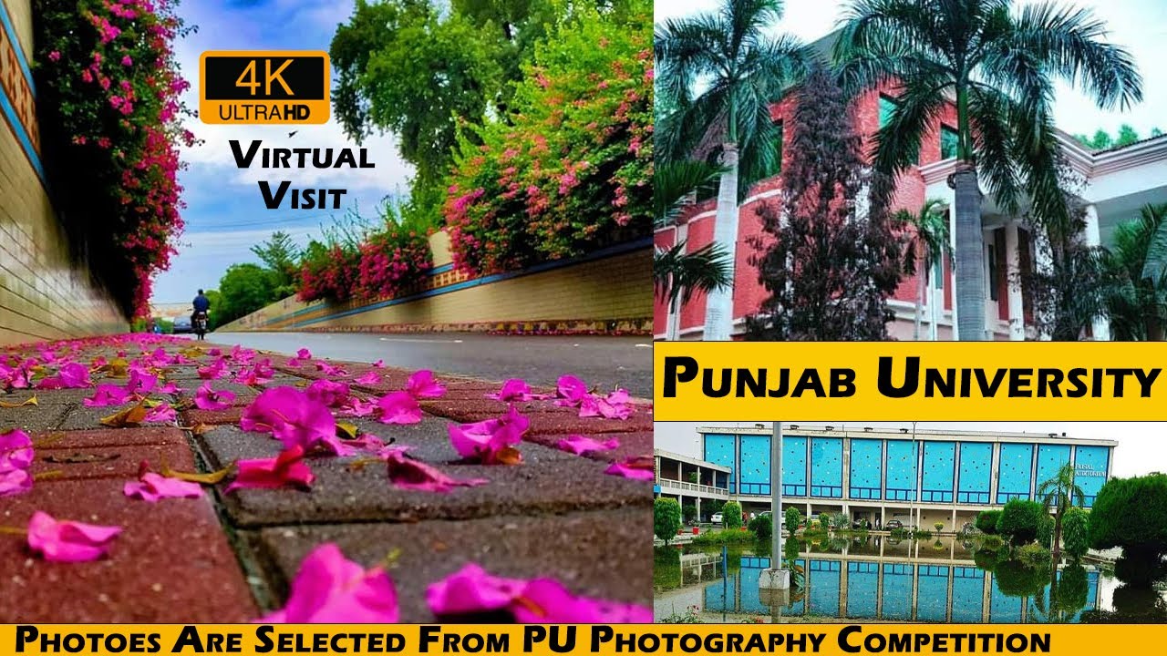 Punjab University Lahore Virtual Tour | 4K