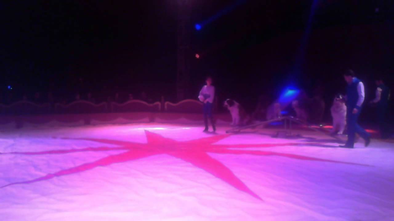 video005