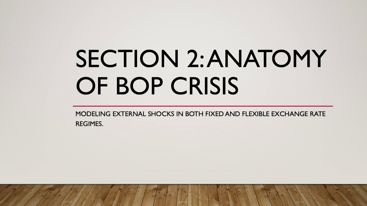 Lecture 8 Anatomy of a Balance of Payment Crisis