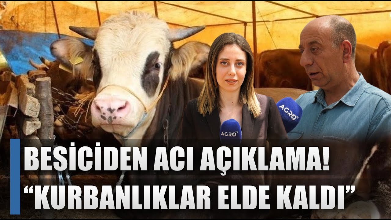 Besiciden Acı Açıklama! 