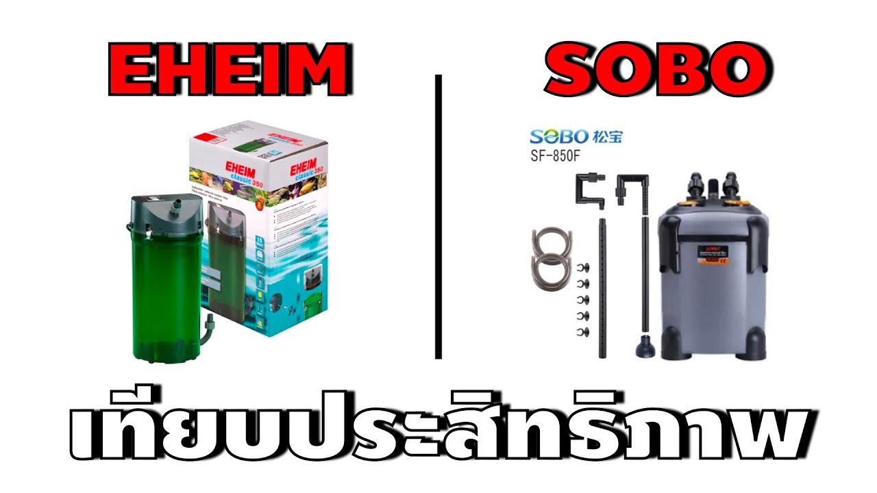 เทียบประสิทธิภาพกรองEheim350 vs. Sobo850 ความรู้สึกหลังจากใช้จริงมาระยะนึง อีฮามปั้มแรงจริงหรือ?