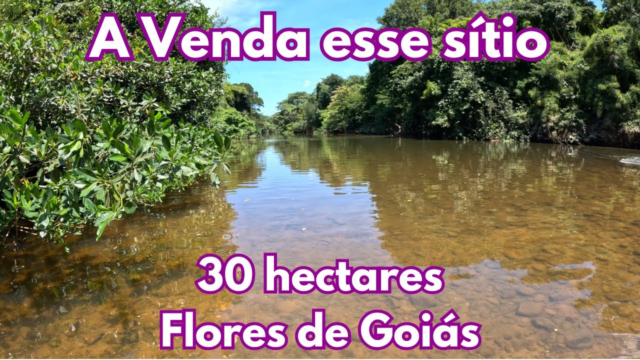 A Venda esse sítio de 30 hectares - Flores de Goiás