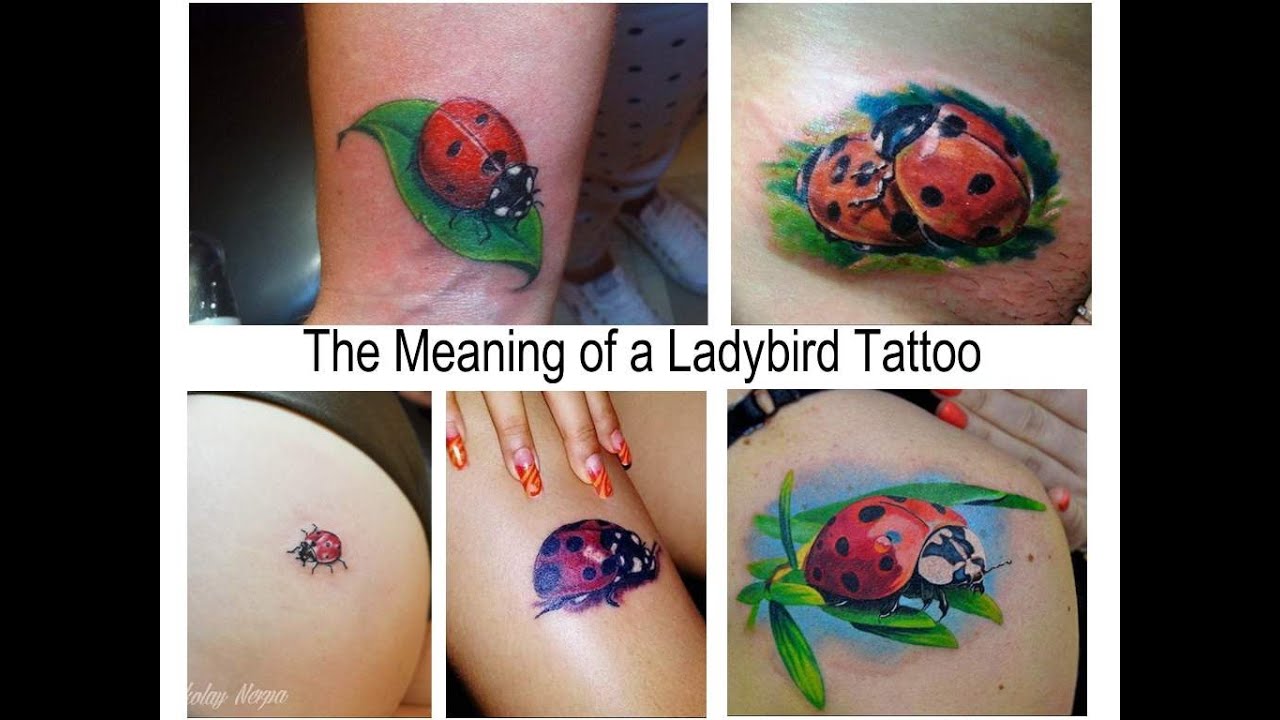 The Meaning of a Ladybird Tattoo   Facts about drawing and photo examples for the tattoovalue.net
